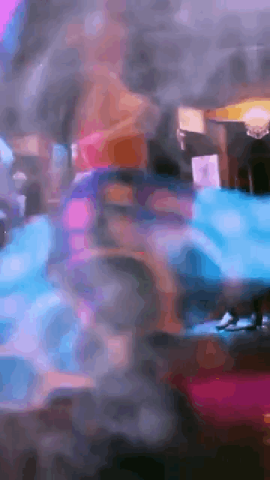 Bellydance Performance